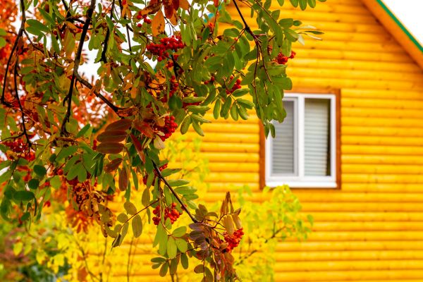 Garden Window Replacement in Lindale
